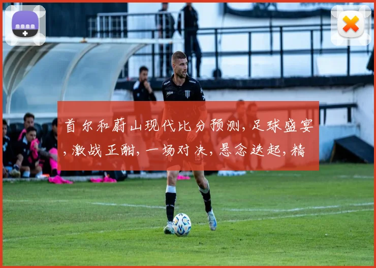 首尔和蔚山现代比分预测,足球盛宴,激战正酣,一场对决,悬念迭起,精彩不容错过,敬请关注。