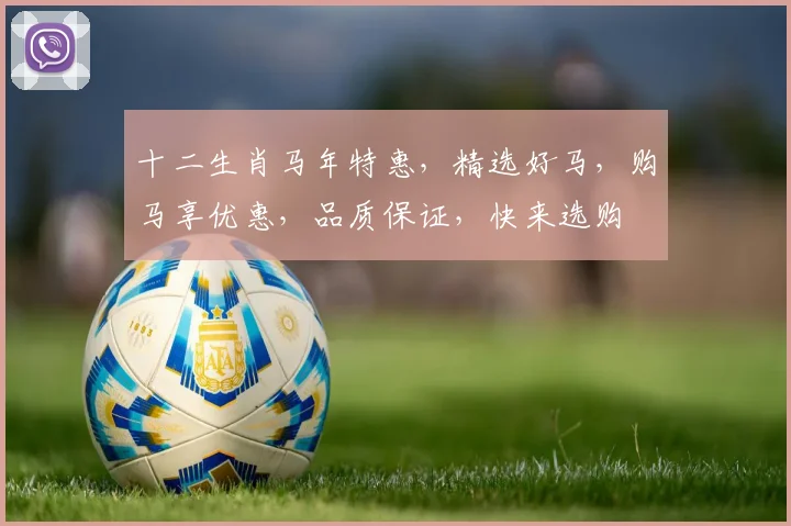 十二生肖马年特惠，精选好马，购马享优惠，品质保证，快来选购