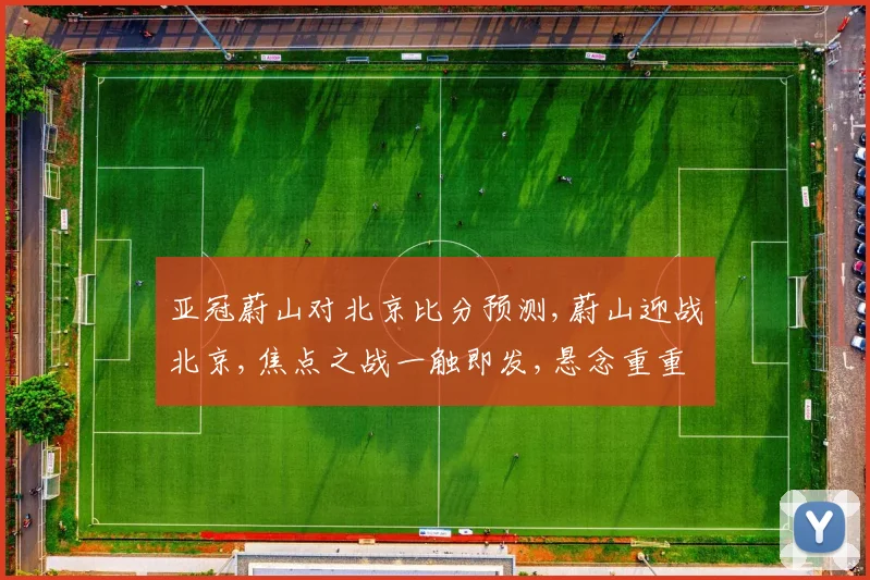 亚冠蔚山对北京比分预测,蔚山迎战北京,焦点之战一触即发,悬念重重