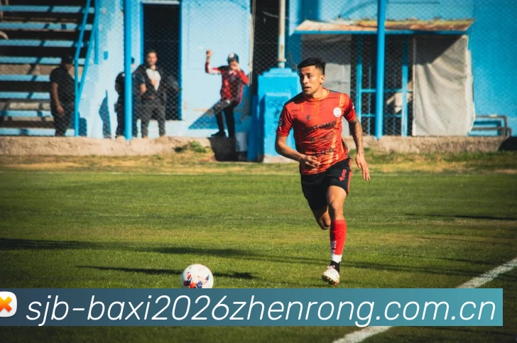巴西世界杯2026阵容平台生态图