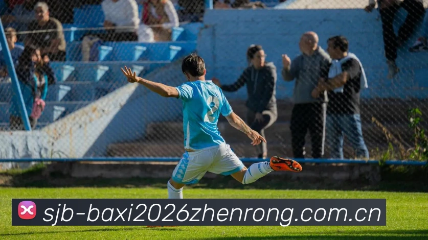 未来规划